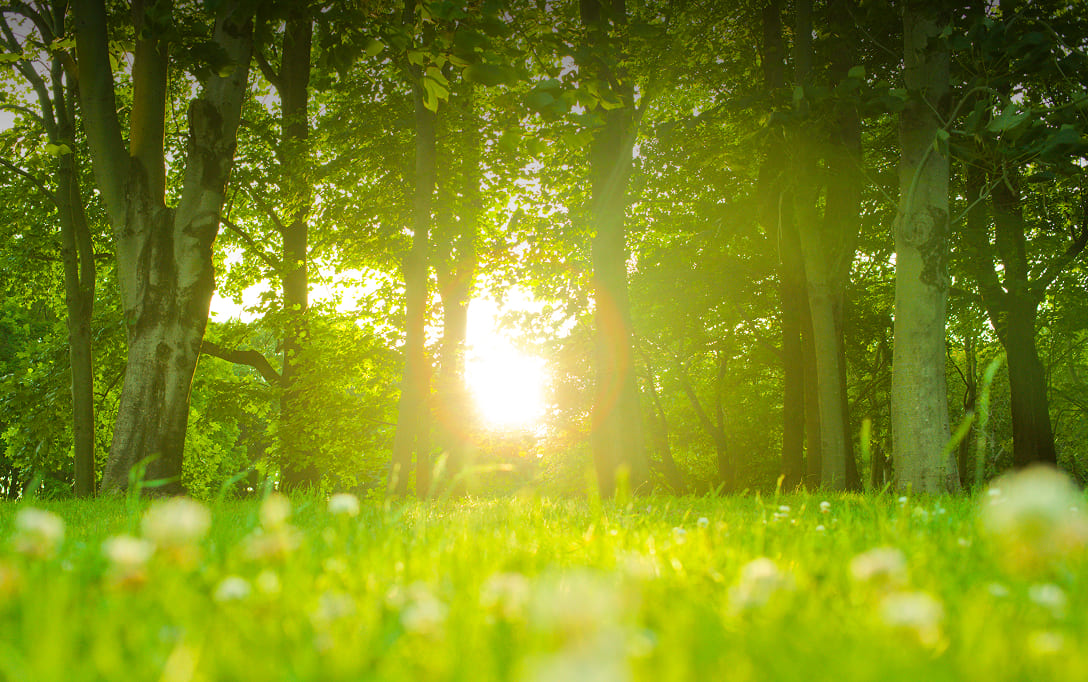 環境と地域社会への取り組み
