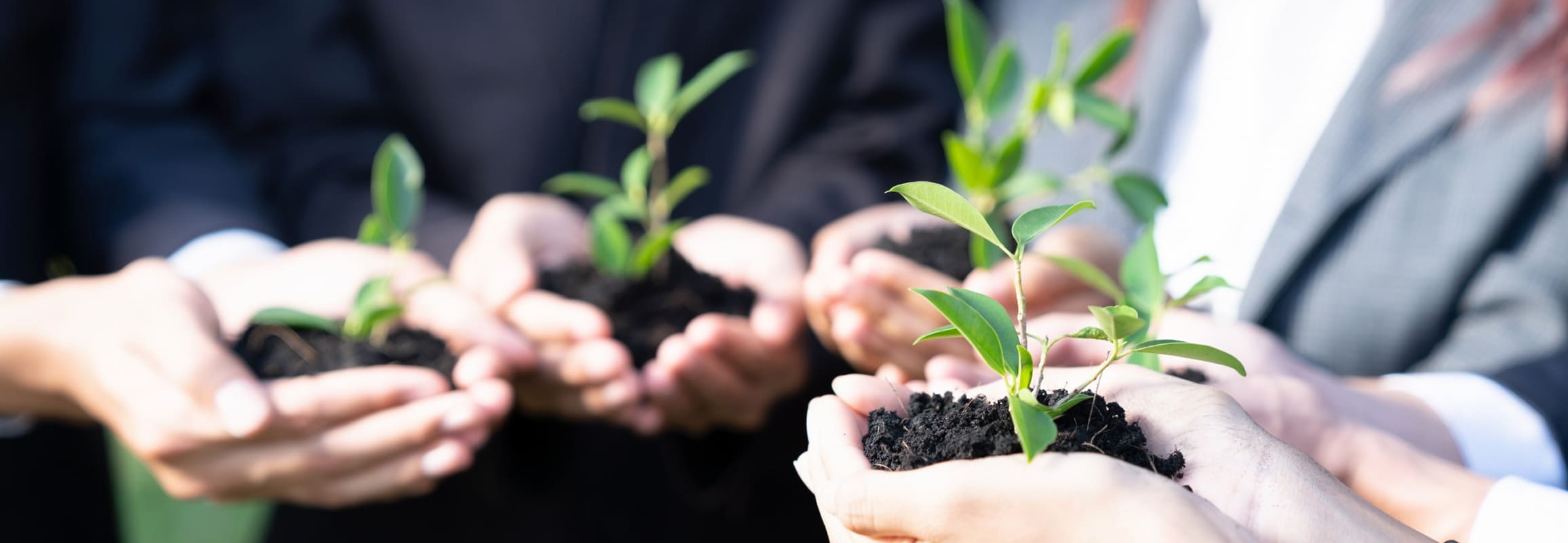 主な取り組み事例